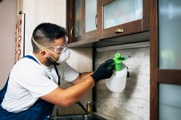 Best Emergency Pest Control  in Advae, NC