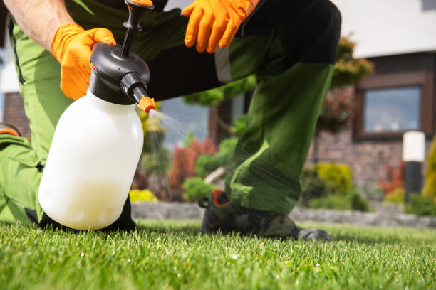 Best Pest Removal Services  in Advae, NC