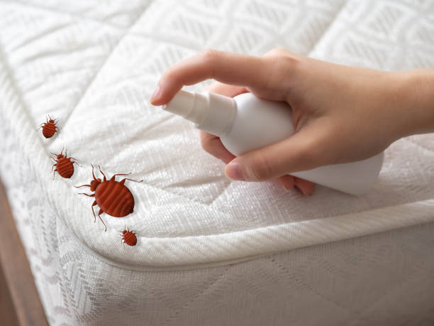 Trusted Advance, NC Pest Control Experts