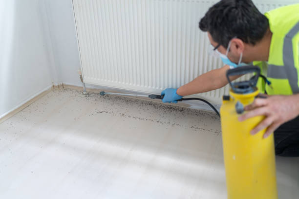 Best Pest Control Near Me  in Advae, NC