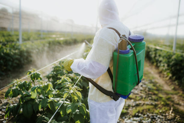 Best Best Pest Control Companies  in Advae, NC